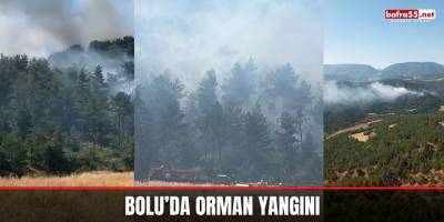 Bolu’da Orman Yangını