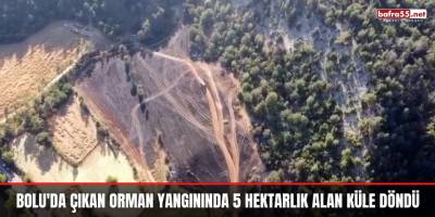 Bolu'da Çıkan Orman Yangınında 5 Hektarlık Alan Küle Döndü
