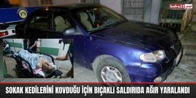 Sokak kedilerini kovduğu için bıçaklı saldırıda ağır yaralandı