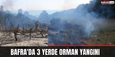 Bafra'da 3 Yerde Orman Yangını