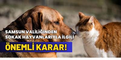 Samsun Valiliğinden SokakHayvanlarıyla İlgili Önemli Karar