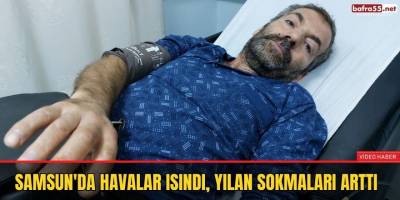 Samsun'da Havalar ısındı, yılan sokmaları arttı