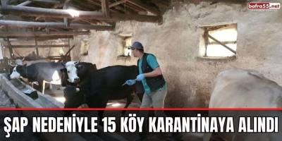 Şap nedeniyle 15 köy karantinaya alındı