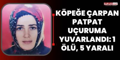 Köpeğe çarpan patpat uçuruma yuvarlandı: 1 ölü, 5 yaralı