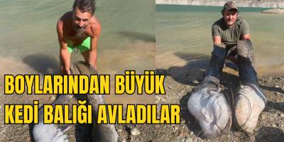 Samsunlu Balıkçılar Boylarından Büyük Kedi Balığı Avladılar