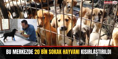 Bu merkezde 20 bin sokak hayvanı kısırlaştırıldı