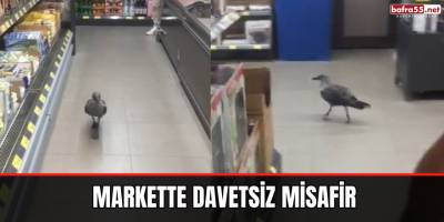 Markette davetsiz misafir