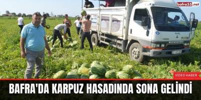 Bafra'da Karpuz Hasadında Sona Gelindi