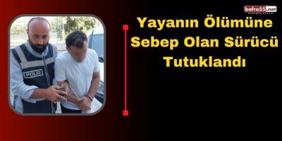 Yayanın Ölümüne Sebep Olan Sürücü Tutuklandı