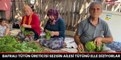 Bafra’da Tütün Üretiminin Zorlukları: Hamit Sezgin’den Çarpıcı Açıklamalar