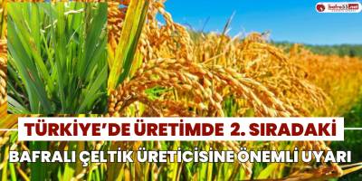 Türkiye'de Üretimde 2. Sıradaki Bafralı Çeltik Üreticisine Önemli Uyarı