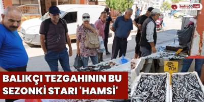 Balıkçı tezgahının bu sezonki starı 'hamsi'