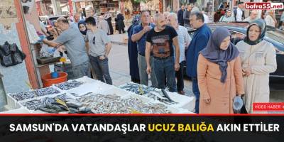 Samsun'da vatandaşlar ucuz balığa akın ettiler