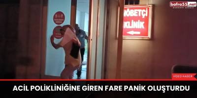 Acil polikliniğine giren fare panik oluşturdu