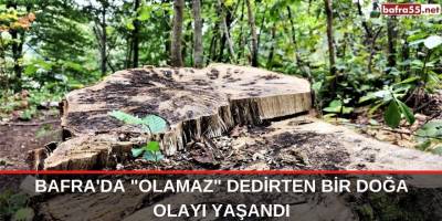 Bafra'da "olamaz" dedirten bir doğa olayı yaşandı