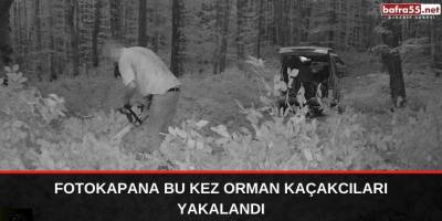 Fotokapana bu kez orman kaçakcıları yakalandı