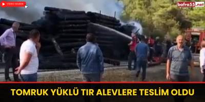 Tomruk yüklü tır alevlere teslim oldu