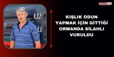 Kışlık odun yapmak için gittiği ormanda silahlı vuruldu