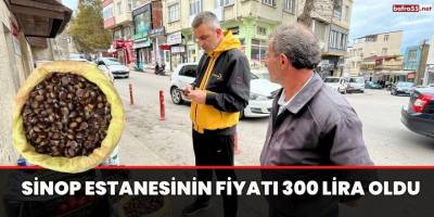 Sinop kestanesinin fiyatı 300 lira oldu
