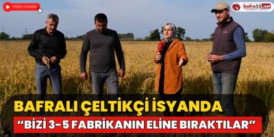 Bafralı Çeltikçi İsyanda “Bizi 3-5 Fabrikanın Eline Bıraktılar”
