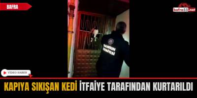 Kapıya Sıkışan Kedi İtfaiye Tarafından Kurtarıldı