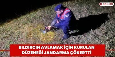 Bıldırcın avlamak için kurulan düzeneği jandarma çökertti