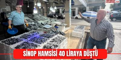 Sinop hamsisi 40 liraya düştü