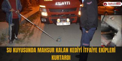 Su kuyusunda mahsur kalan kediyi itfaiye ekipleri kurtardı