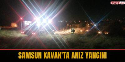 Samsun Kavak'ta anız yangını