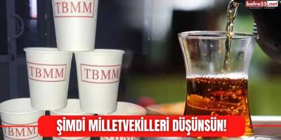 Şimdi Milletvekilleri Düşünsün!