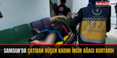 Samsun'da çatıdan düşen kadını incir ağacı kurtardı