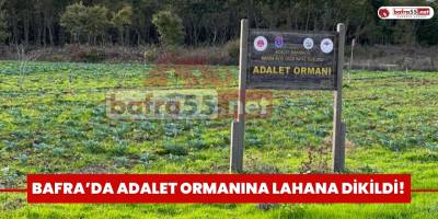 BAFRA'DA ADALET ORMANINA LAHANA DİKİLDİ!
