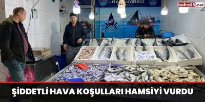 Şiddetli Hava Koşulları Hamsiyi Vurdu