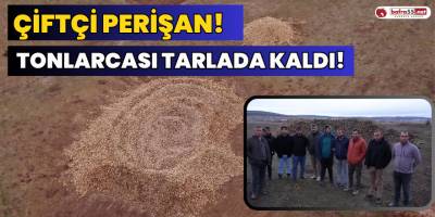 Çiftçilerin Ürettiği Tonlarcası Tarlada Kaldı