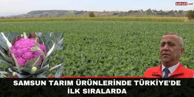 Samsun tarım ürünlerinde Türkiye'de ilk sıralarda