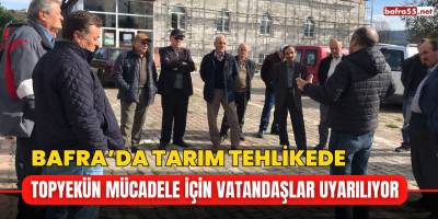 Bafra’da Tarım Tehlikede Topyekün Mücadele İçin Vatandaşlar Uyarılıyor