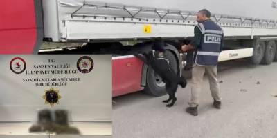 Samsun'da tırdaki uyuşturucuyu dedektif köpeği ''Tony'' buldu
