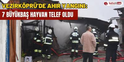 Vezirköprü'de ahır yangını: 7 büyükbaş hayvan telef oldu