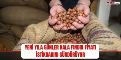 Yeni yıla günler kala fındık fiyatı istikrarını sürdürüyor