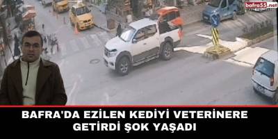 Bafra'da ezilen kediyi veterinere getirdi şok yaşadı