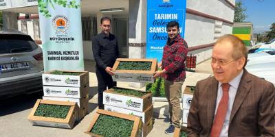 Samsun’da tarıma 21 milyon liralık destek