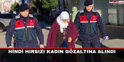 Hindi hırsızlığına gözaltı