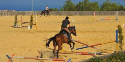 Samsun'da Atlı Spor Tesisleri'ne yoğun ilgi