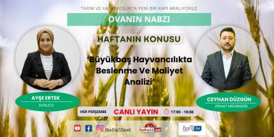OVANIN NABZI Programı Canlı Yayın 18 Ocak 2024