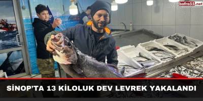 Sinop’ta 13 kiloluk dev levrek yakalandı