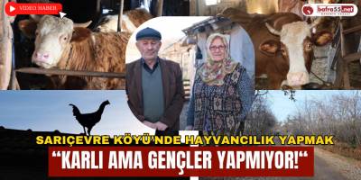 Sarıçevre Köyü'nde Hayvancılık Yapmak