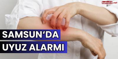 Samsun'da 7 yılda görülen uyuz sayısı son 1 yılda görüldü