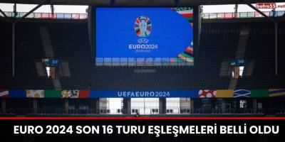 Kedileri yanan kadın gözyaşlarına hakim olamadı