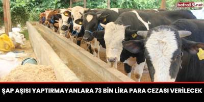 Şap aşısı yaptırmayanlara 73 bin lira para cezası verilecek