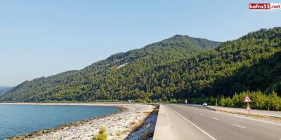 Samsun'a 2023 yılında 504 milyon TL’lik orman yatırımı